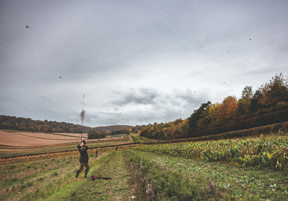 Godmersham Park shoot