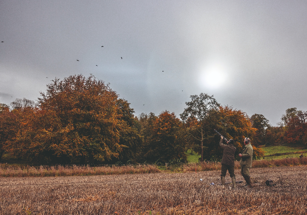 Godmersham Park shoot