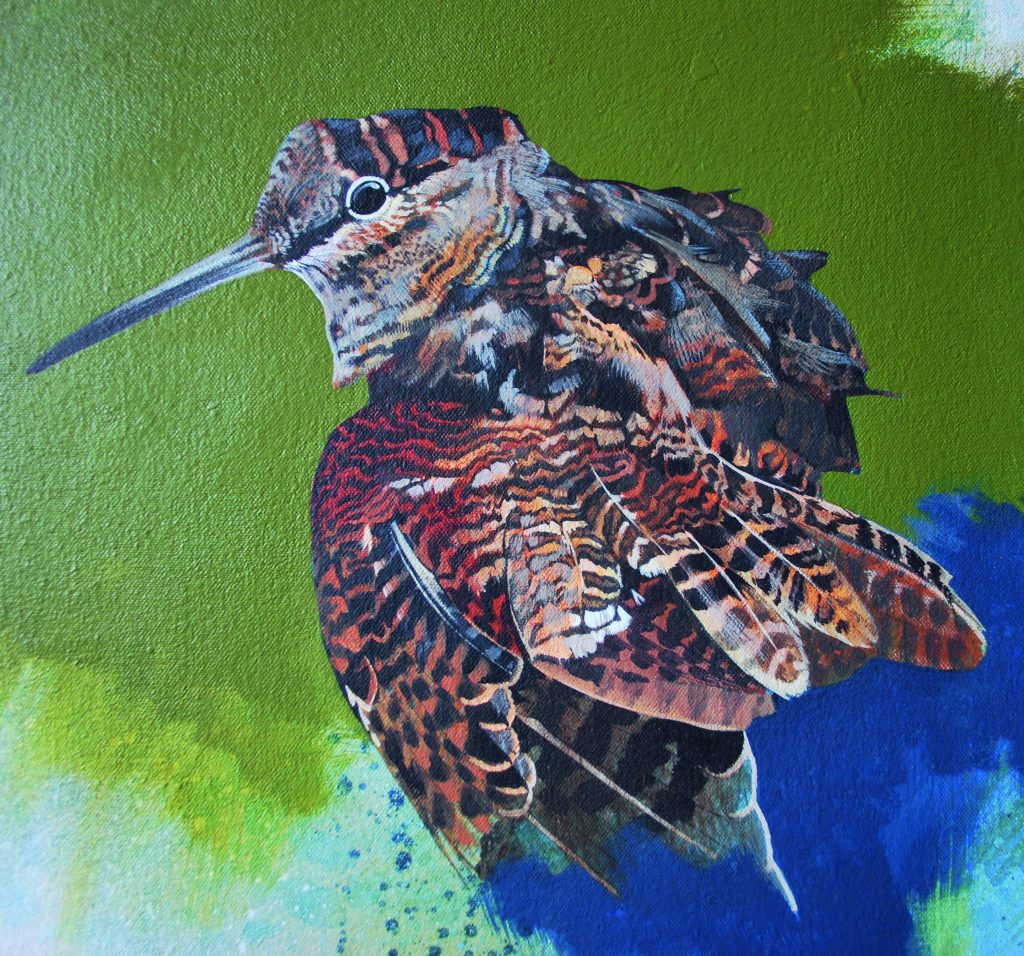 Jim Starr's woodcock art