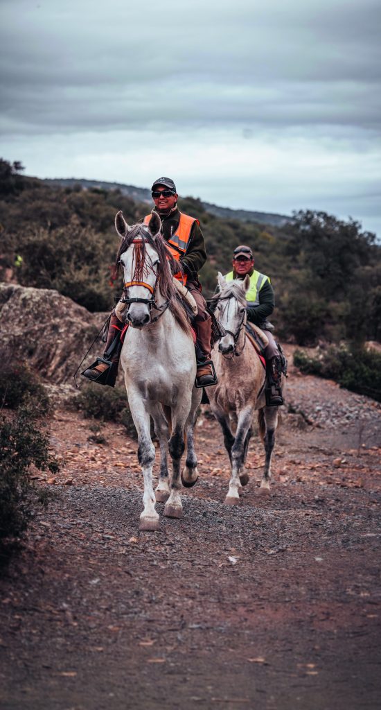 Partridge Shooting in La Nava, Spain