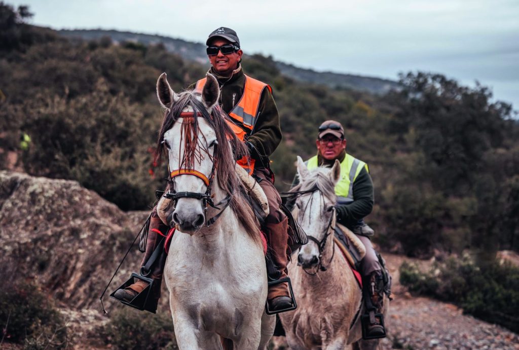Partridge Shooting in La Nava, Spain