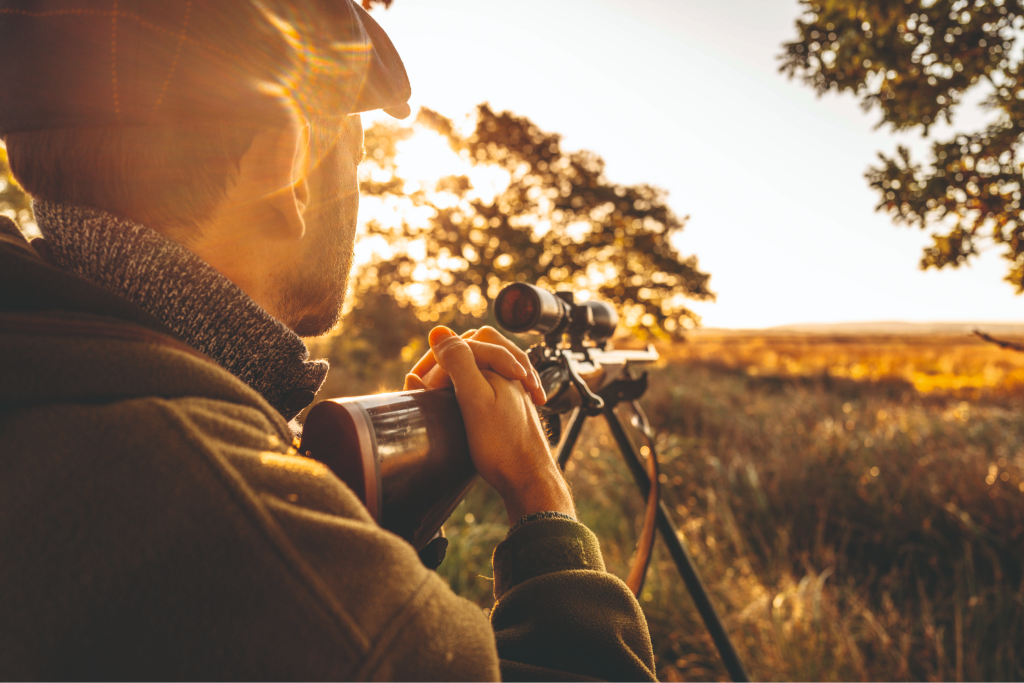 The art of hunting sika