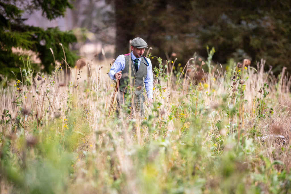 Grey partridge conservation in Scotland