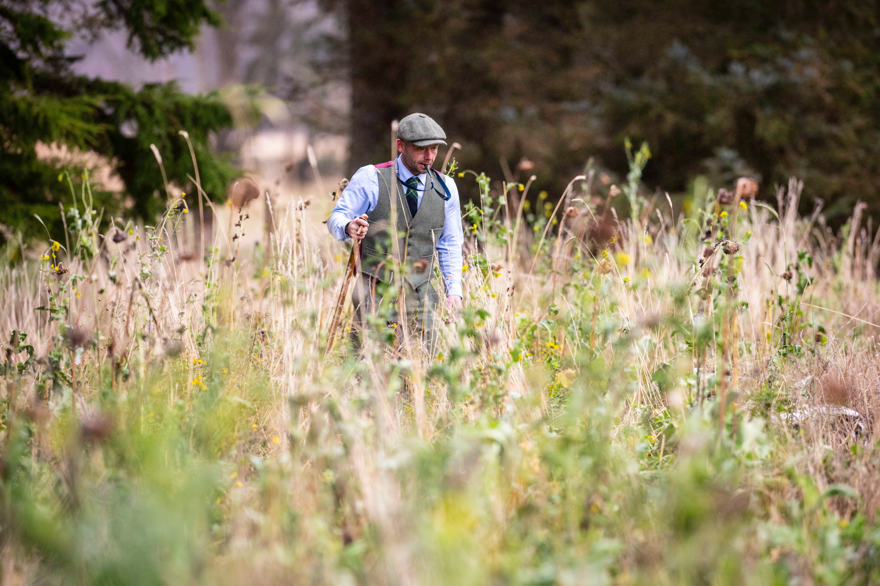 Grey partridge conservation in Scotland