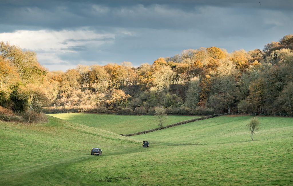 Five of the best game shoot consultants