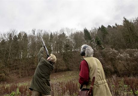 Driven Pheasant Line Shoots