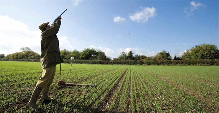 top tips for partridge shooting