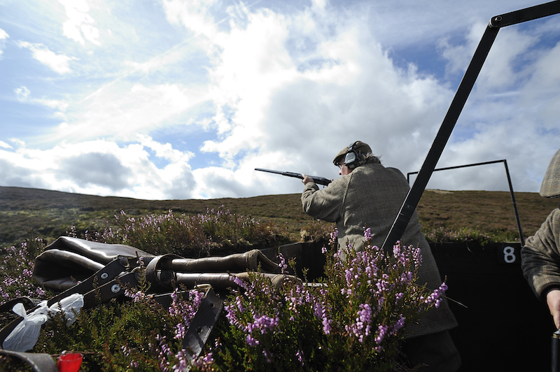 man standing up with gun amongst purple heather outside 