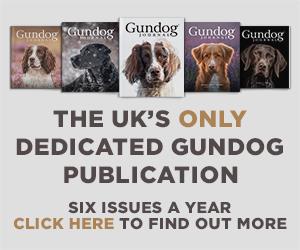 Gundog Journal